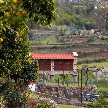 Villa Quinta Do Tapadinho - Wine & Tourism à Moimenta Extérieur photo