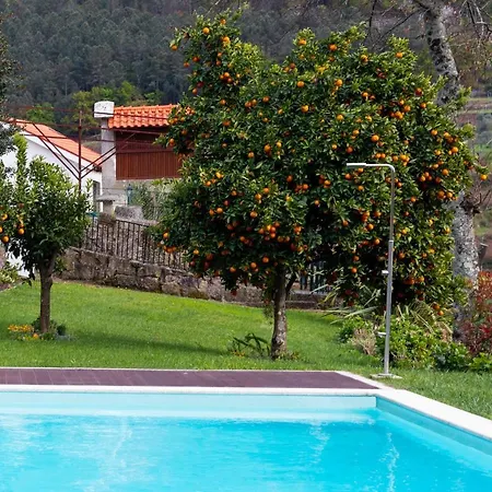 Villa Quinta Do Tapadinho - Wine & Tourism à Moimenta Extérieur photo