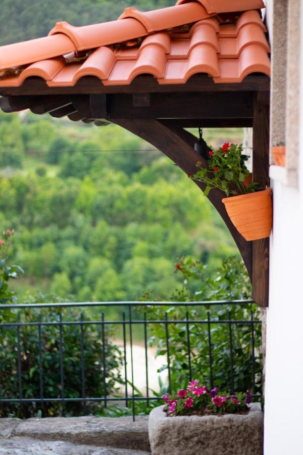 Quinta Do Tapadinho - Wine & Tourism Villa Moimenta