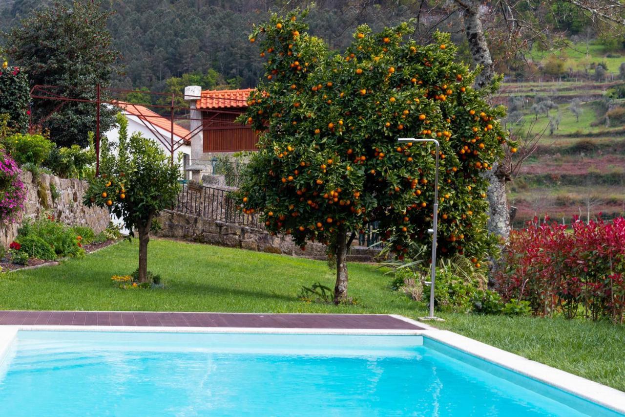 Quinta Do Tapadinho - Wine & Tourism Villa Moimenta