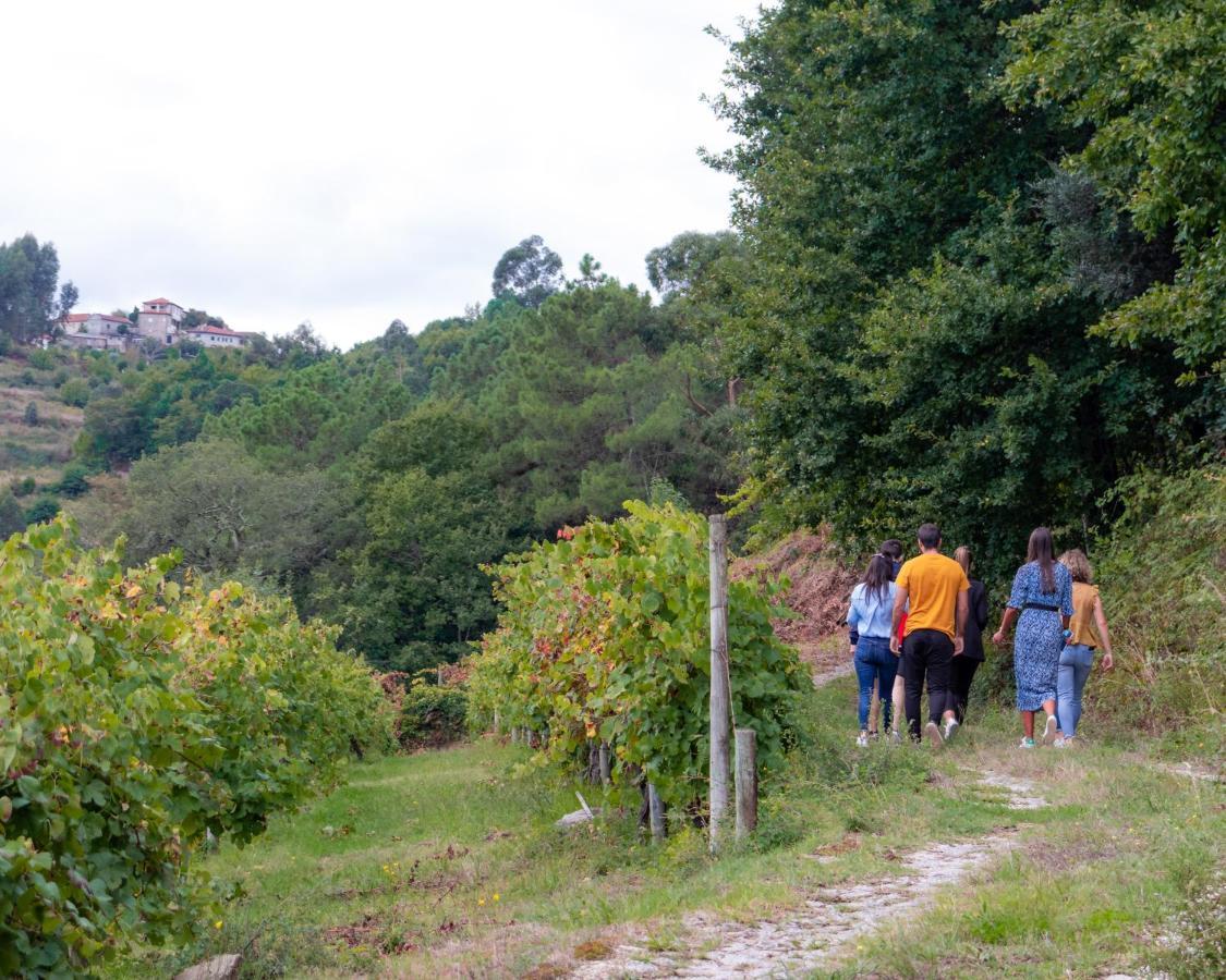 Quinta Do Tapadinho - Wine & Tourism Villa Moimenta