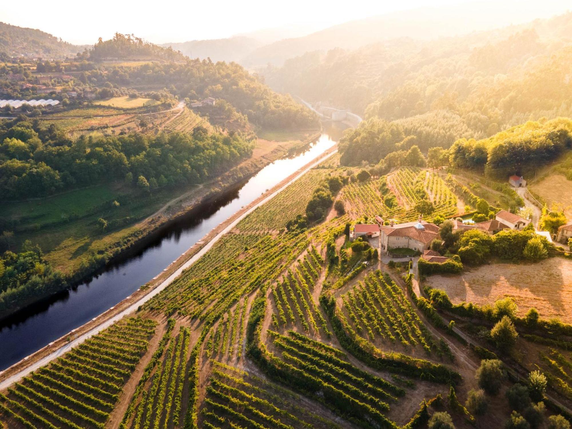 Quinta Do Tapadinho - Wine & Tourism Villa Moimenta